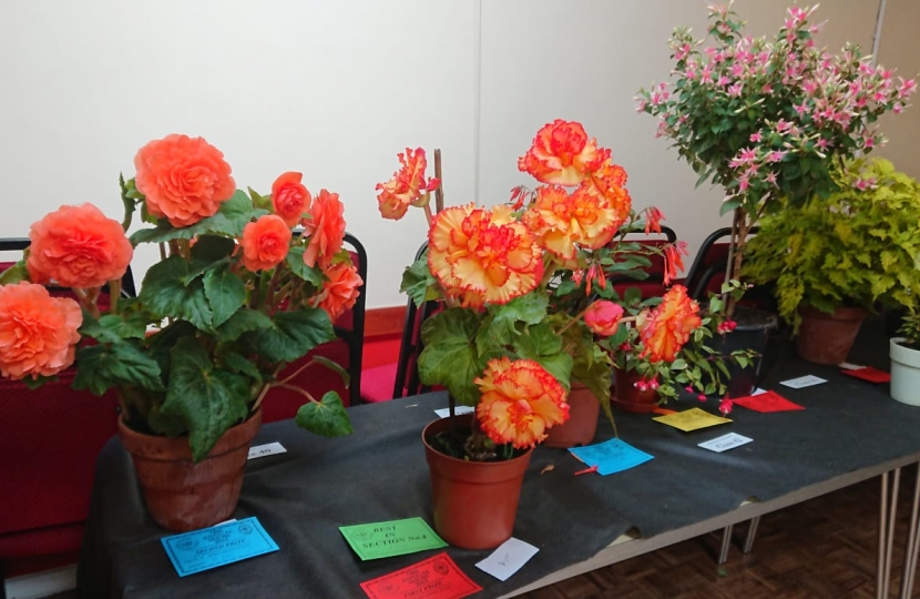 Downend Flower Show displays