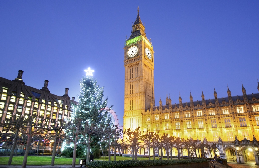 Parliament at Christmas