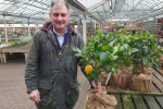 Jack Lopresti MP pictured with Sicilian Lemon Tree