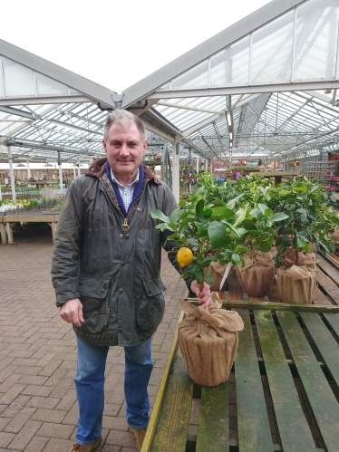 Jack Lopresti MP pictured with Sicilian Lemon Tree