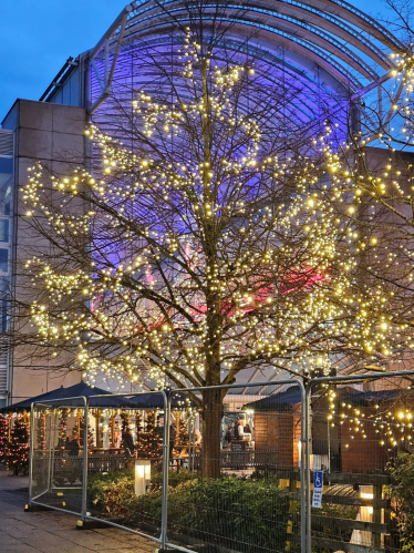 A picture of a Christmas Tree at the Cribbs Causeway Mall.